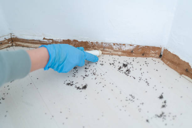 Best Pest Exclusion Services  in Wilder, VT